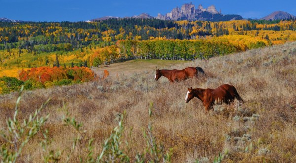 12 Things People Miss The Most About Colorado When They Leave