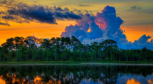 These 15 Breathtaking Sceneries Totally Define Florida
