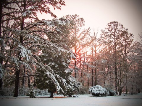 Why You Definitely Should NOT Be Dreading Winter In Alabama