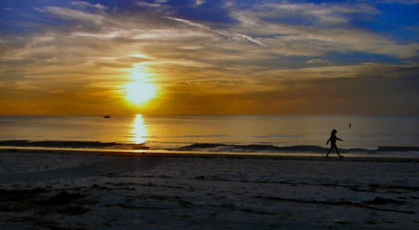 19 Reasons We Are Thankful For Living In Florida