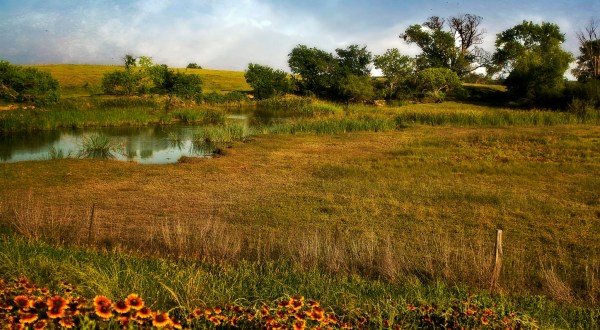 These 10 Mind-Blowing Sceneries Totally Define Texas