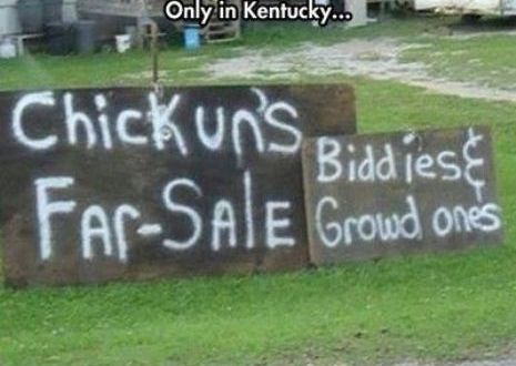 Here Are 14 Jokes About Kentucky That Are Actually Funny