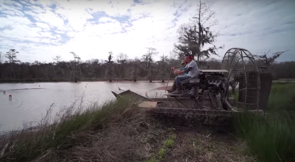 If You’ve Never Taken An Airboat Ride In Louisiana, You’re In For Something Awesome