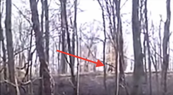 Some People In Indiana Consider This Undeniable Proof Bigfoot Exists