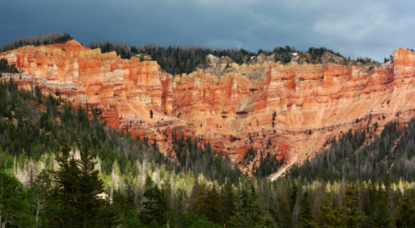 You’ll Be Blown Away By These 8 Amazing National Forests in Utah