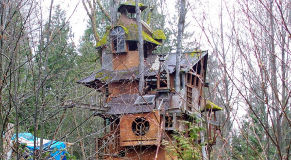 This Forgotten Treehouse In Washington Is Possibly The Best Thing Ever