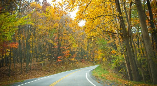10 Things People Miss The Most About West Virginia When They Leave