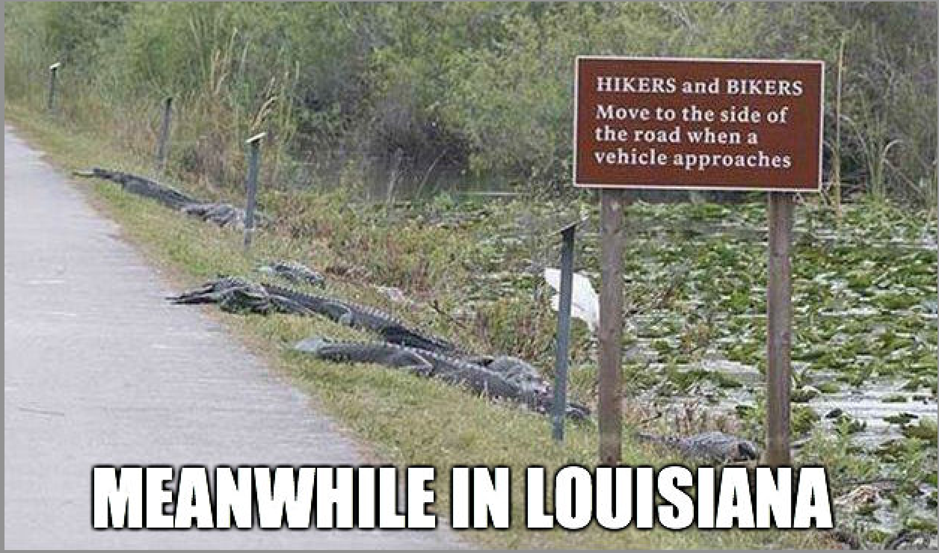 Hilarious Jokes About Louisiana