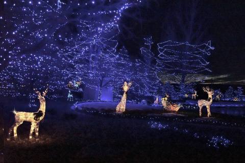 These 9 Houses In Colorado Have The Most Unbelievable Christmas Decorations