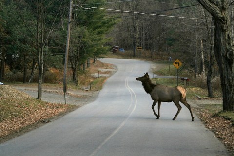 10 Reasons Christmas In Pennsylvania Is The Absolute Best