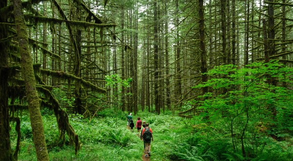 12 Things Everyone MUST DO In Oregon In 2016