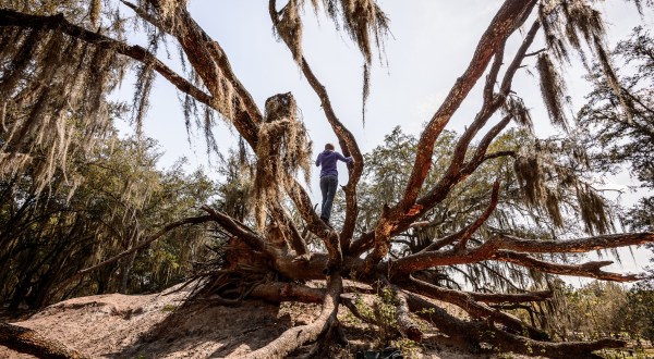 There’s A Hidden Gem In Florida That’s Straight Out Of A Fairy Tale