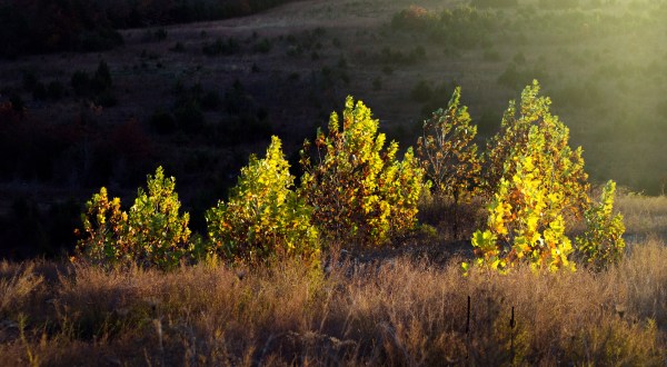 15 Secret Spots In Missouri Where Nature Will Completely Relax You