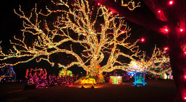 11 Reasons Christmas In Texas Is The Absolute Best