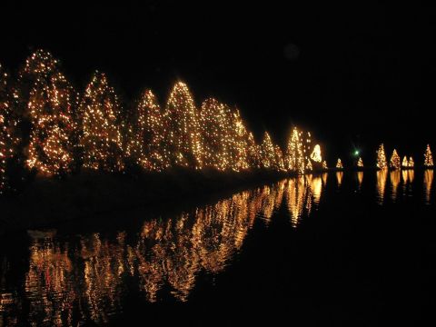 These Places In North Carolina Have The Most Unbelievable Christmas Decorations