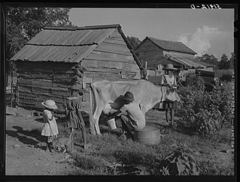 21 Rare Photos Taken In South Carolina During The Great Depression