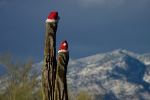 12 Reasons Christmas In Arizona Is The Absolute Best