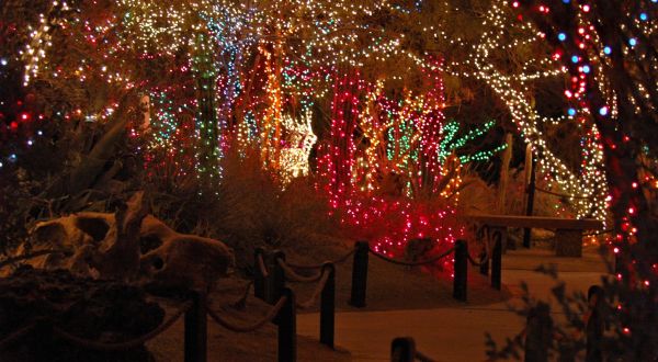 12 Reasons Why Christmas In Nevada Is The Absolute Best