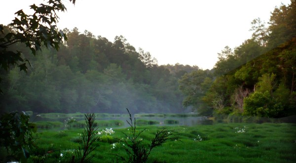 13 Eerie Shots In Alabama That Are Spine-Tingling Yet Magical