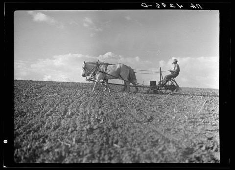 This Is What Life In Nebraska Looked Like In 1936. WOW.