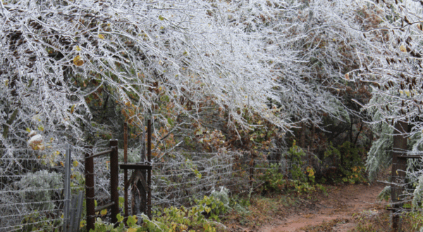 15 Spots In Oklahoma That Will Drop Your Frozen Jaw This Winter