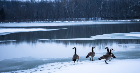 16 Shots Of Missouri That Will Drop Your Frozen Jaw This Winter