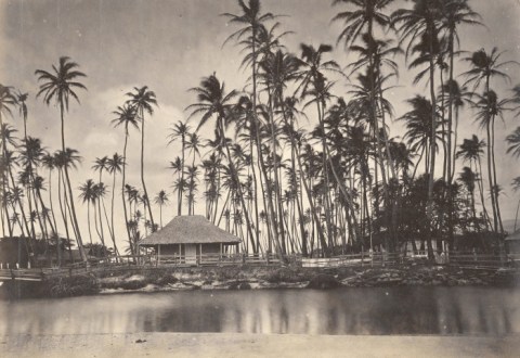 17 Rare Photos From Hawaii That Will Take You Straight To The Past