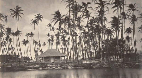 17 Rare Photos From Hawaii That Will Take You Straight To The Past