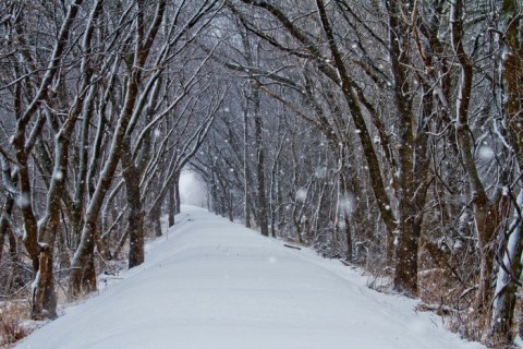 Here Are 10 Spots In Iowa You Must Explore This Winter