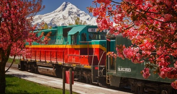 Board These 6 Beautiful Trains In Oregon For An Unforgettable Experience