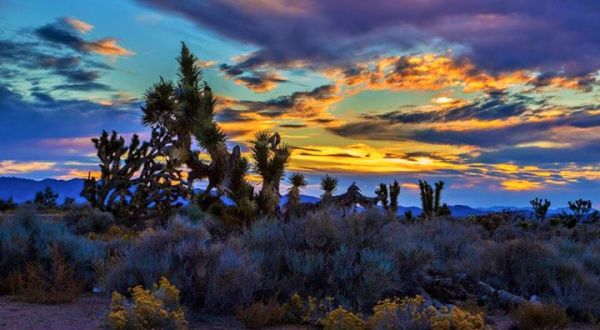 Here Are The 17 Most Jaw Dropping Photos Taken In Nevada In 2015