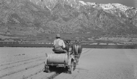There’s Something Special About These 16 Utah Farms From the Past
