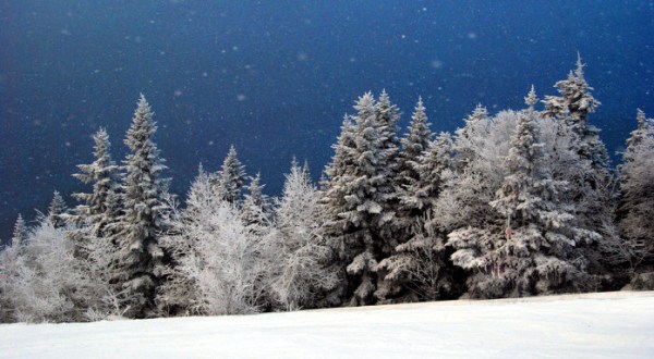 12 Things You Really Hope Santa Brings Vermont for Christmas