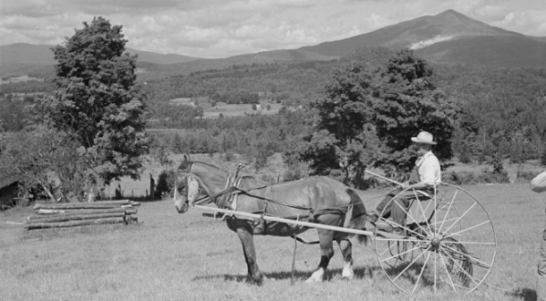 There’s Something Special About These 27 Vermont Farms From The Past