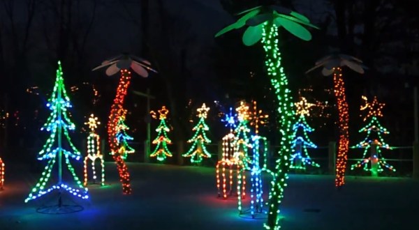 Did You Know The Indianapolis Zoo Offers One of The Best Zoo Lights in the USA?