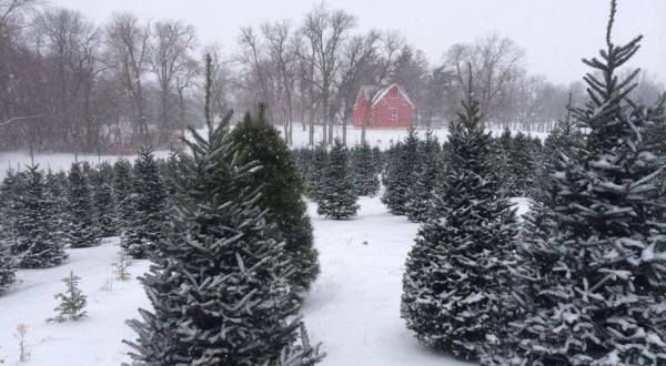 12 Unforgettable Places In Iowa That Everyone Must Visit This Winter