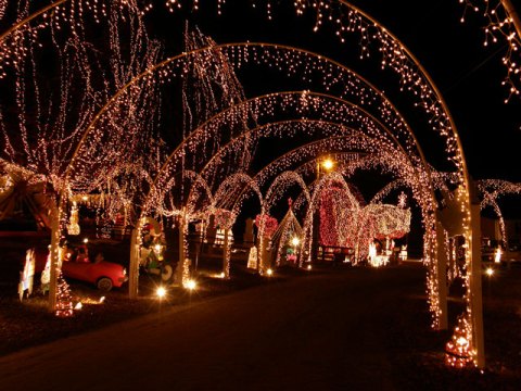 These 7 Houses In North Carolina Have The Most Unbelievable Christmas Decorations
