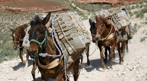 You’ll Never Guess How Mail Is Delivered To This Tiny Arizona Town