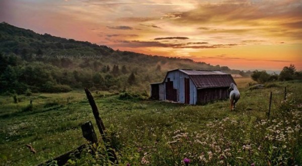 15 Photos That Prove Rural North Carolina Is The Best Place To Live