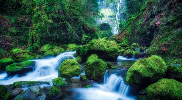 15 Undeniable Reasons Why The World Wouldn’t Be The Same Without Oregon
