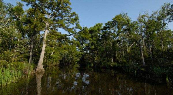 These 7 Unexplained Natural Phenomena In Mississippi Will Baffle You