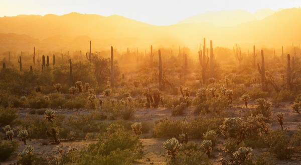 10 Thoughts Everyone From Arizona Has When Growing Up