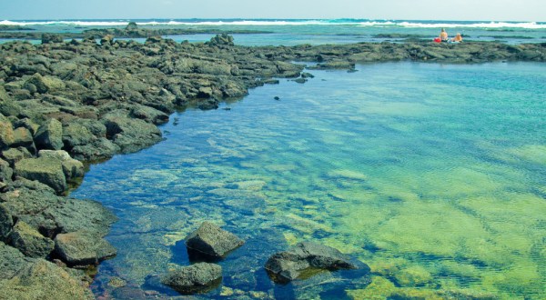 Here Are 8 Hawaii Tide Pools That Will Make Your Weekend Epic