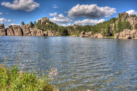 Custer State Park - state parks in sd