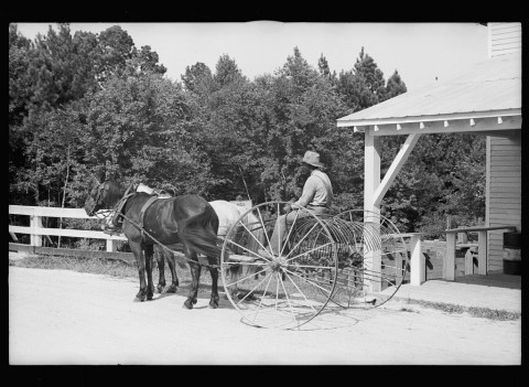 This Is What Life In North Carolina Looked Like In 1935. WOW.