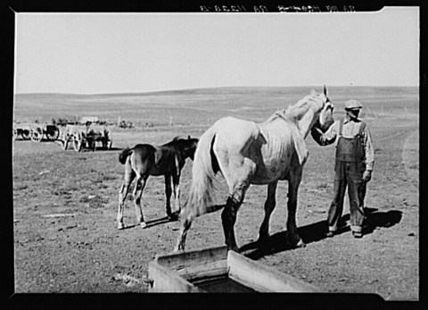 10 Rare Photos Taken In North Dakota During The Great Depression