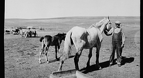 10 Rare Photos Taken In North Dakota During The Great Depression