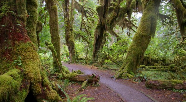 This Hike In Washington Will Give You An Unforgettable Experience