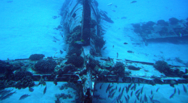 These 11 Enchanting Underwater Wrecks In Hawaii Are A Diver’s Dream