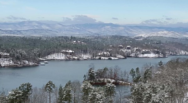 23 Must-See Snowy Photos Of Winter Storm Jonas In South Carolina
